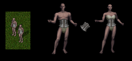 Accented Corset
